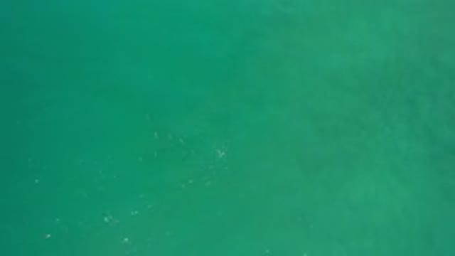 LOS CABOS MEXICO-2020: Beautiful Layout Of Colors Of Aqua Blue Teal White That