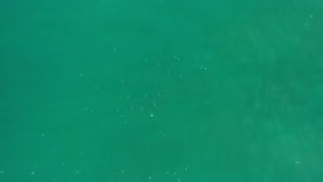 LOS CABOS MEXICO-2020: A Calm Day In The Sea With No Waves On A Sunny Day