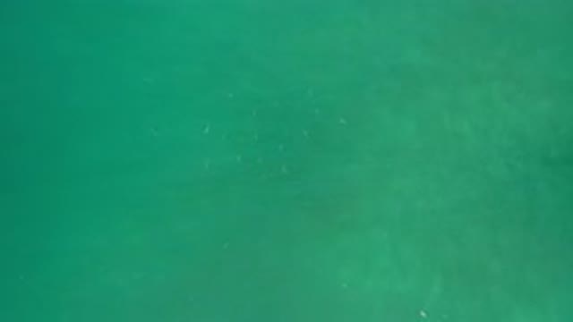 LOS CABOS MEXICO-2020: Shining Green Water Reflecting The Sun With Reflective Surface