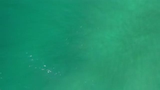LOS CABOS MEXICO-2020: Calming View of Expanse of Blue-Green Ocean Slowly Moving
