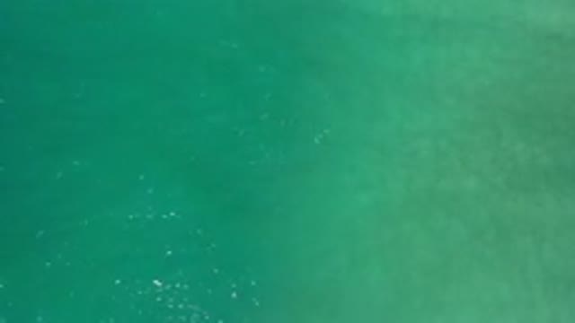 LOS CABOS MEXICO-2020: Refreshing View of a Deep Green Sea