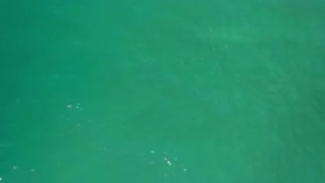 LOS CABOS MEXICO-2020: A Large Body Of Water Moving And Looking Green With No