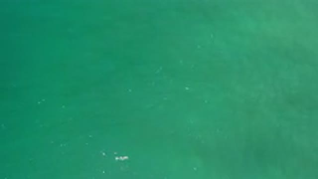 LOS CABOS MEXICO-2020: Straight Top View Of Deep Calm Green Sea Water With Light