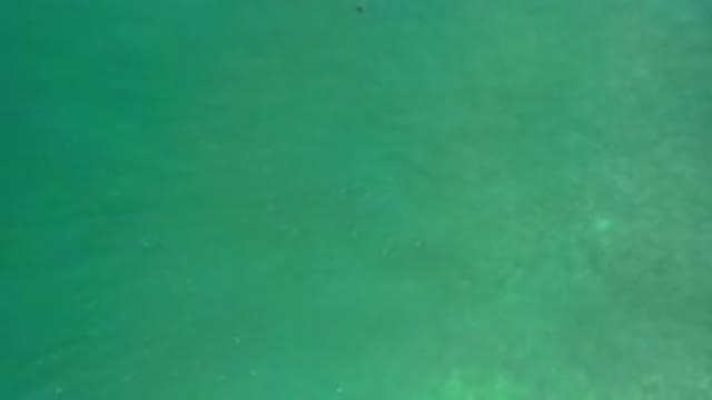 LOS CABOS MEXICO-2020: A Top View Of Deep Green Calm Sea Water And Light Waves