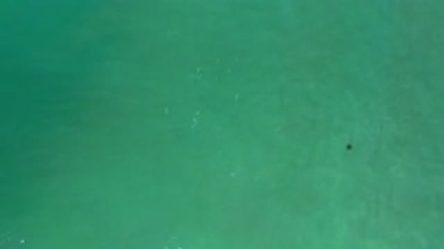 LOS CABOS MEXICO-2020: Calm Ocean with Fish Shoal in Morning Sunlight