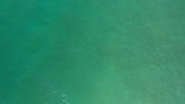 LOS CABOS MEXICO-2020: An Aerial View Of The Ocean With Fish Swimming In The Water