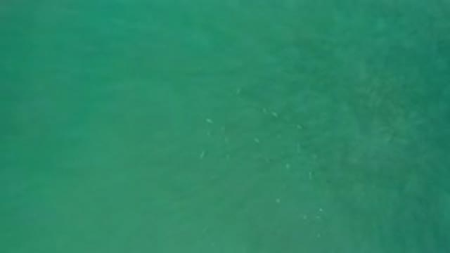 LOS CABOS MEXICO-2020: Blue Sea Water Equating To Bahamian Like Caliber On A
