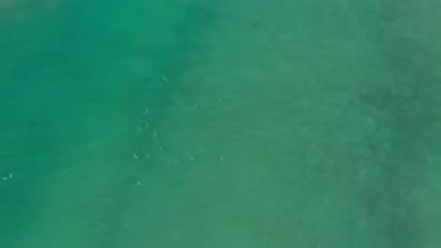 LOS CABOS MEXICO-2020: A View Of The Ocean With A Bunch Of Fish Swimming