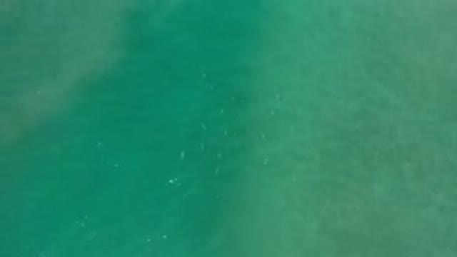 LOS CABOS MEXICO-2020: Top View Of A Deep Green Sea Water And A Strong Wave On