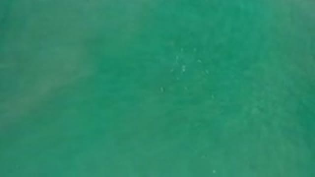LOS CABOS MEXICO-2020: A View Of The Ocean With Fishes Swimming From Above