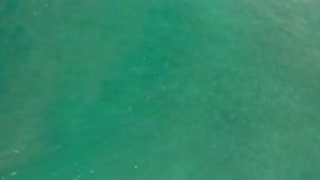 LOS CABOS MEXICO-2020: Amazing Aerial View Of A Peaceful Blue-Green Sea