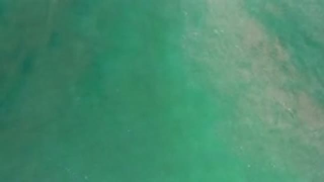 LOS CABOS MEXICO-2020: Green Calm And Deep Sea