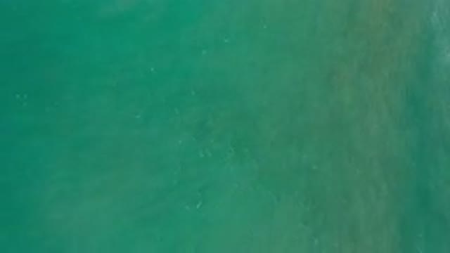 LOS CABOS MEXICO-2020: Clear Water Fish Green Ocean Tranquil Relaxing