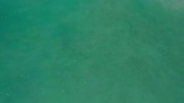 LOS CABOS MEXICO-2020: Blue Cyan Sea Flowing And Swinging In A Relaxing And