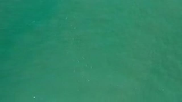 LOS CABOS MEXICO-2020: A Calm Sea On A Hot Day