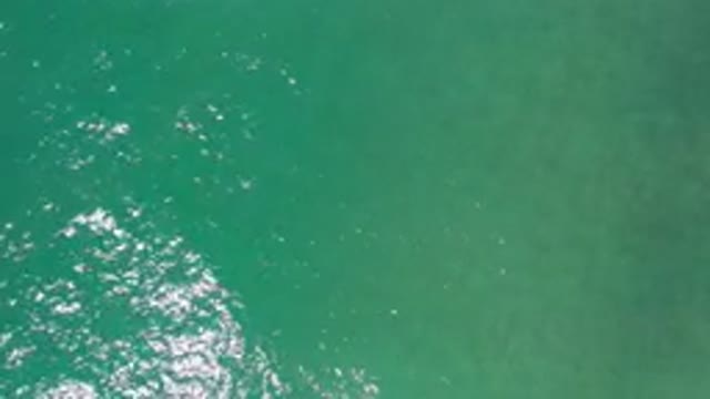 LOS CABOS MEXICO-2020: Clean and Clear Green Sea