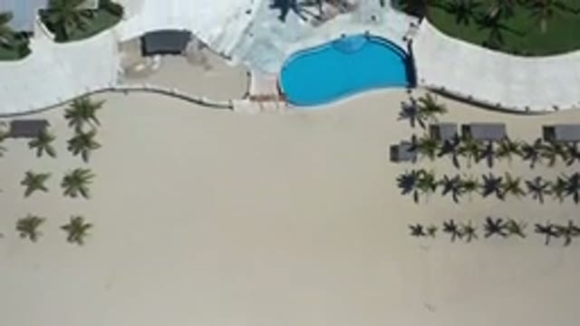 LOS CABOS MEXICO-2020: Vacation Area Has Pretty Trees Lots Of Pools And Condos