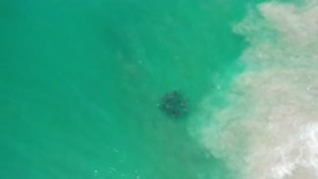 LOS CABOS MEXICO-2020: Waves Moving Forward And Moving Around