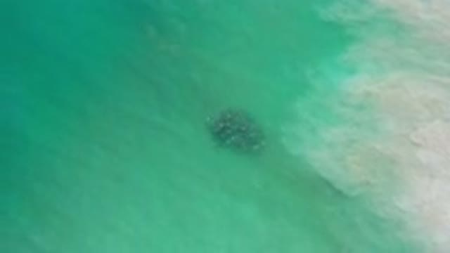 LOS CABOS MEXICO-2020: Top View Drone Footage of Green Water Sea or River