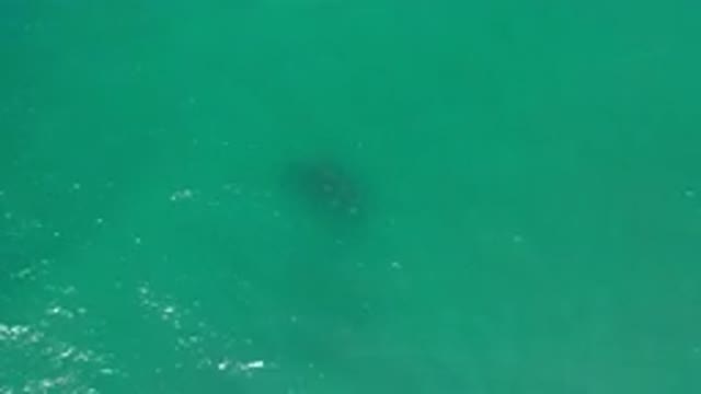 LOS CABOS MEXICO-2020: Overhead Panoramic Shots Of A Dark Slick In A Quiet Blue