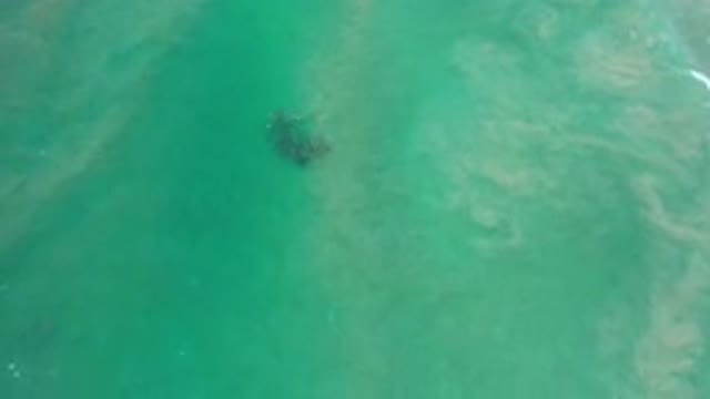 LOS CABOS MEXICO-2020: Aerial View of Ocean Waves and Surf