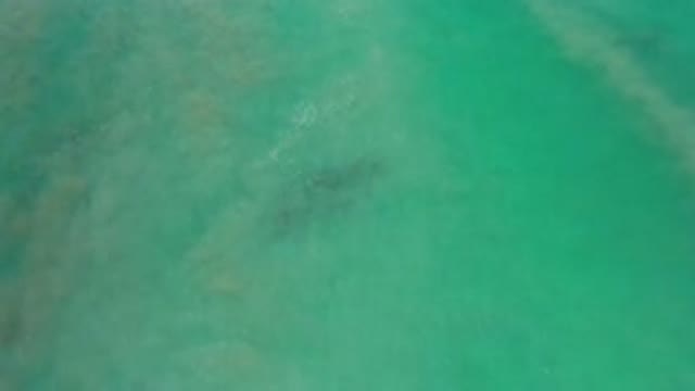 LOS CABOS MEXICO-2020: Deeply Blue and Green Ocean Recorded From the Sky Above