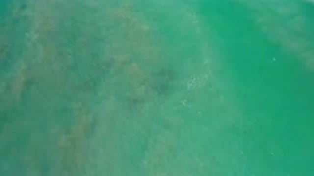 LOS CABOS MEXICO-2020: Aerial Footage Of Beach Shoreline Waves Crashing Against