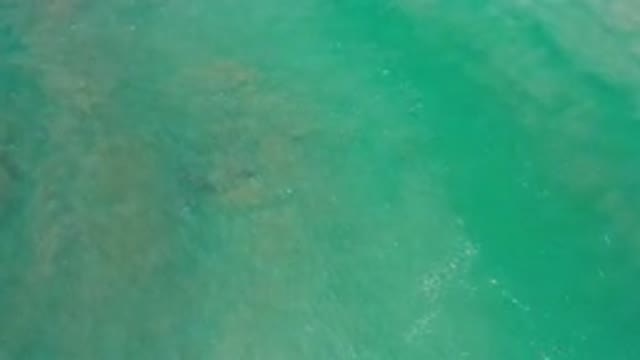LOS CABOS MEXICO-2020: Blue-Green Asmr Video Of The Visual Effects Produced By