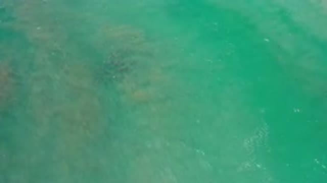 LOS CABOS MEXICO-2020: Ocean View Of Calm Shallow Ocean Water That Is Sea-Green