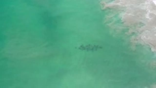LOS CABOS MEXICO-2020: Green Ocean Waves Crashing Near Shoreline