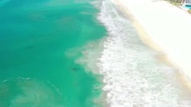 LOS CABOS MEXICO-2020: A Very Beautiful Long Green and Blue Sea Shore in Front