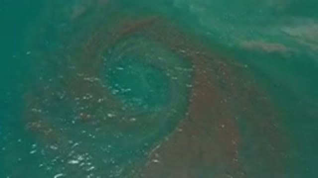LOS CABOS MEXICO-2020: A Top View Of Green Water With Slight Waves And A Circled Object