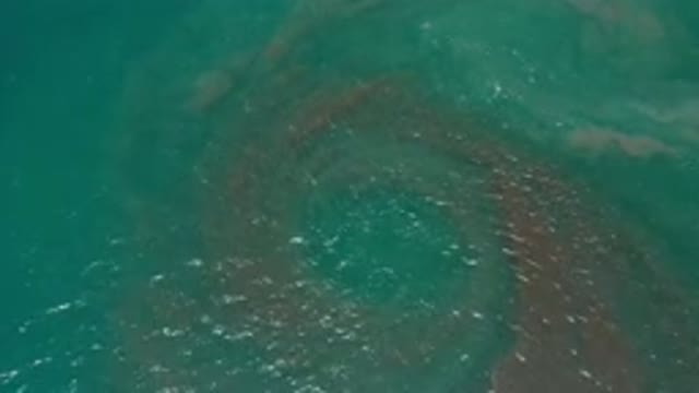 LOS CABOS MEXICO-2020: The Sea Has Brown Tides Underneath Going In A Circular