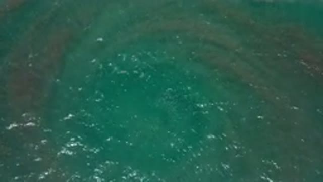 LOS CABOS MEXICO-2020: The Whirlpool in the Middle of the Green Sea