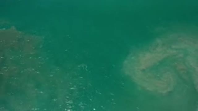 LOS CABOS MEXICO-2020: A Massive Body Of Water Is In Movement Making Ripples And