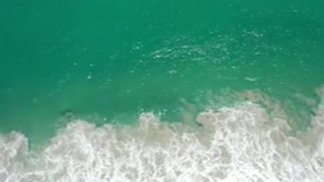 LOS CABOS MEXICO-2020: Peaceful Green Ocean Waves Water Whale Peaceful Surf Sand