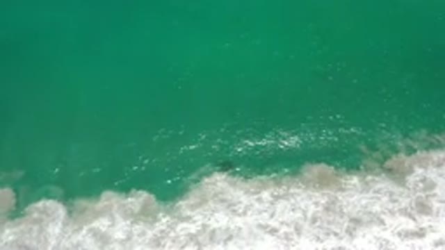 LOS CABOS MEXICO-2020: Gorgeous Shiny Green Water Ocean Recorded From The Sky By