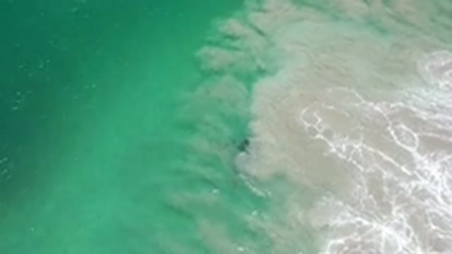 LOS CABOS MEXICO-2020: Blue Green Ocean Water Teeming With Wildlife And Sea