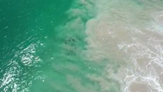 LOS CABOS MEXICO-2020: When Two Parts Of The Ocean Meet
