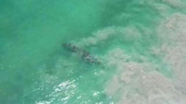 LOS CABOS MEXICO-2020: Shiny Blue Ocean Waters With Calm Waves Recorded From The