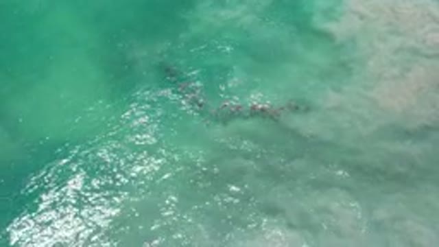 LOS CABOS MEXICO-2020: Top View Of A Wave Pulling A Group Of People Towards The Shore