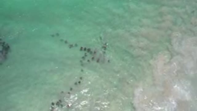 LOS CABOS MEXICO-2020: View Of A Green Sea With Calm Waves