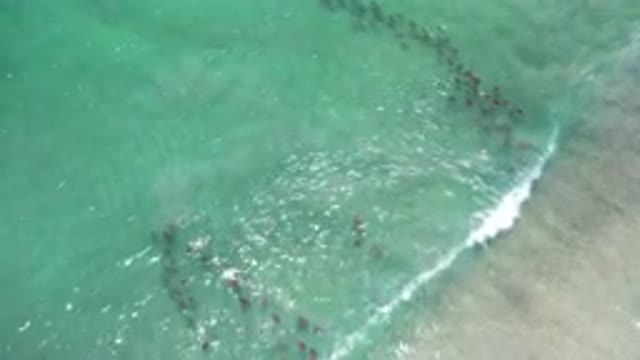 LOS CABOS MEXICO-2020: Shore Coast Beach Sea Sunny Day Summer Sand Waves Fish