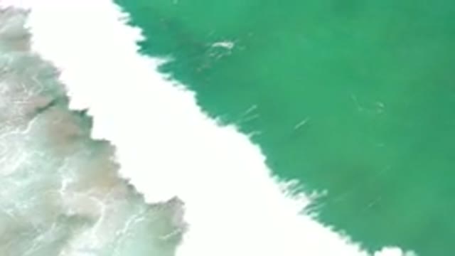 LOS CABOS MEXICO-2020: Coastal Sea Rocks Fish Clean Green Wave Foam Bubbles Ocean
