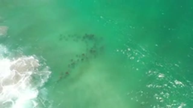 LOS CABOS MEXICO-2020: Gentle Green Ocean Waves Hitting Shore On A Sandy Beach