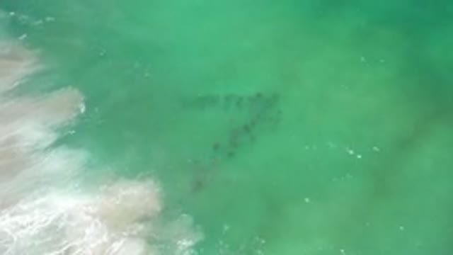 LOS CABOS MEXICO-2020: Big Ocean Has A Ripple Effect That Has Fish Underneath