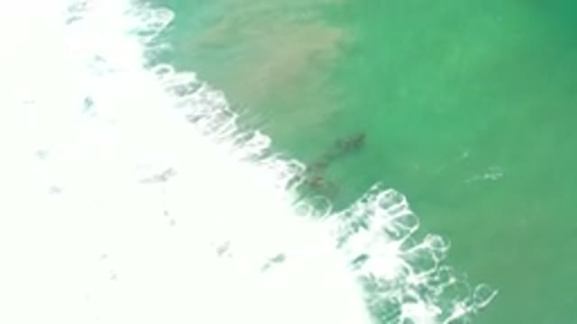 LOS CABOS MEXICO-2020: Ocean Vacation Life Aerial Birdseye