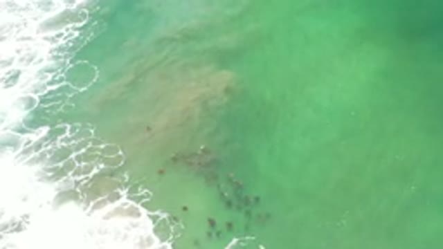 LOS CABOS MEXICO-2020: Group Of Friends Gathered In A River And Enjoying Their Time