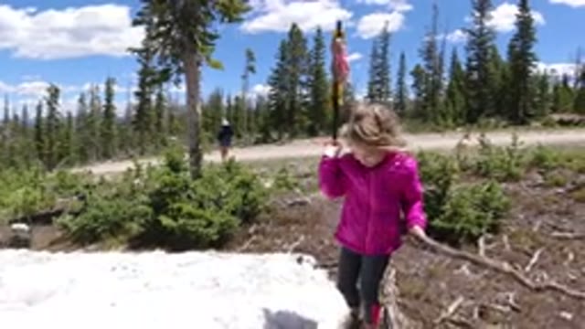 WINTER PARK COLORADO-2019: A Young Girl Playing in a Pine Valley with a Stick