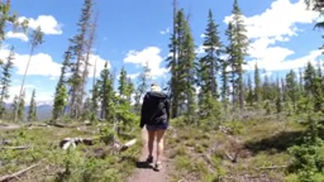 WINTER PARK COLORADO-2019: A Little Lady Is Walking Along A Trail In An